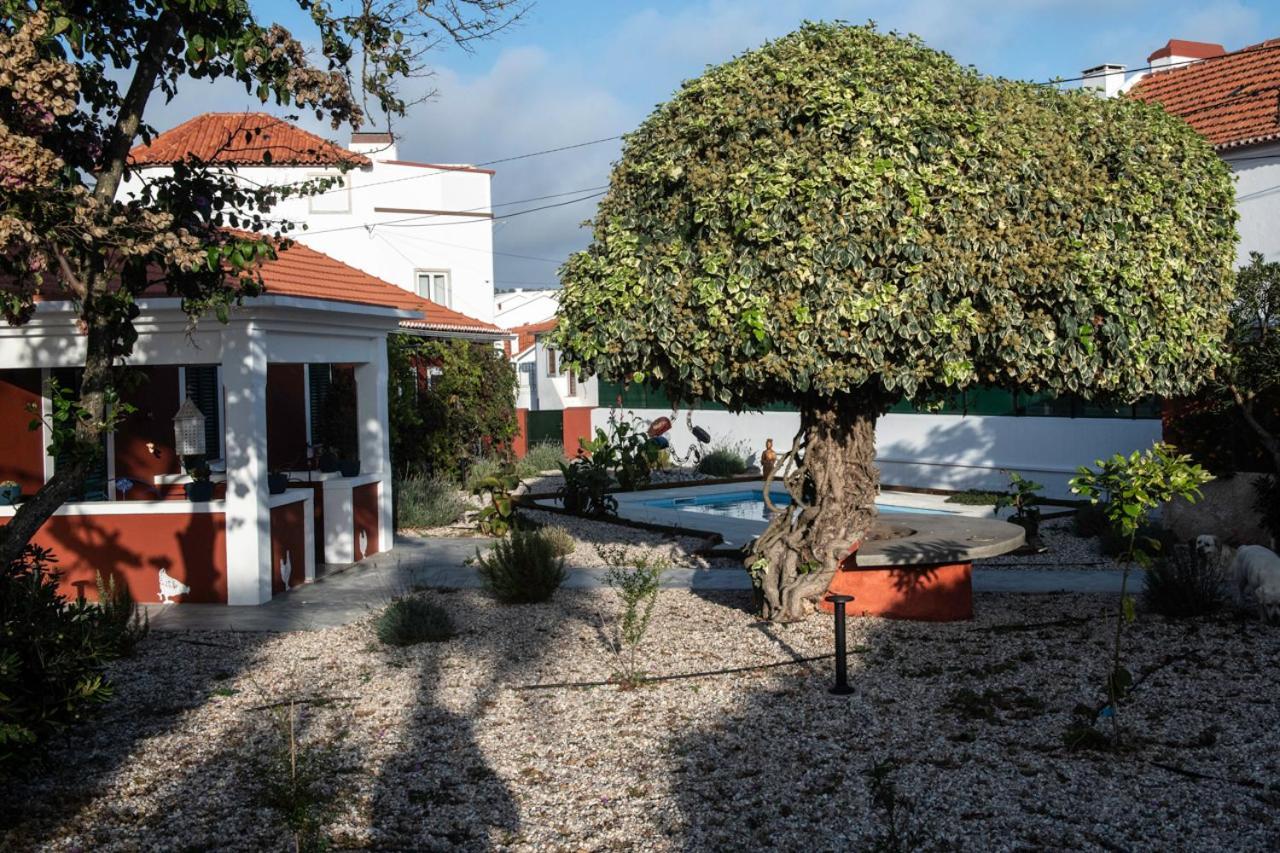 Отель Casa Flamingo Фош-ду-Арелью Экстерьер фото